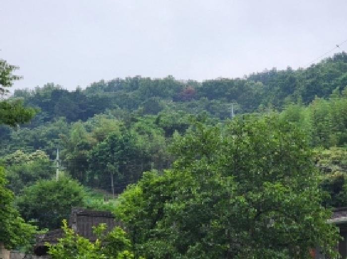 2025타경51384 사진