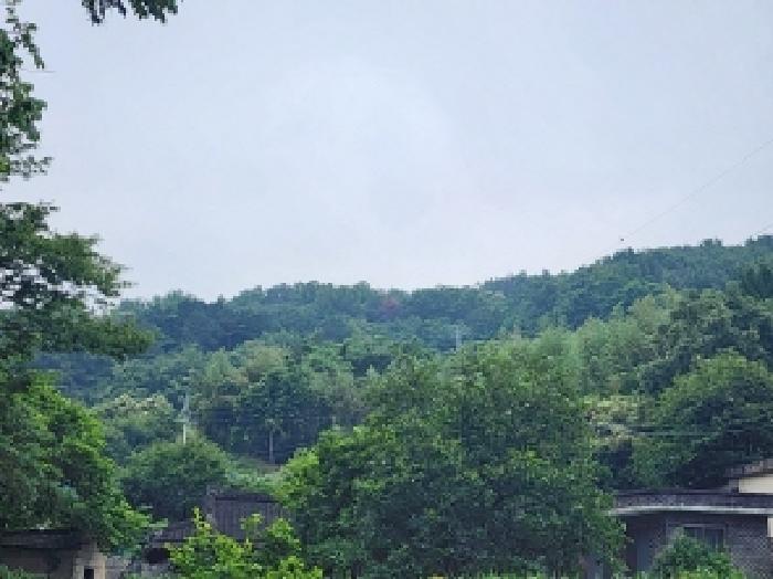 2025타경51384 사진