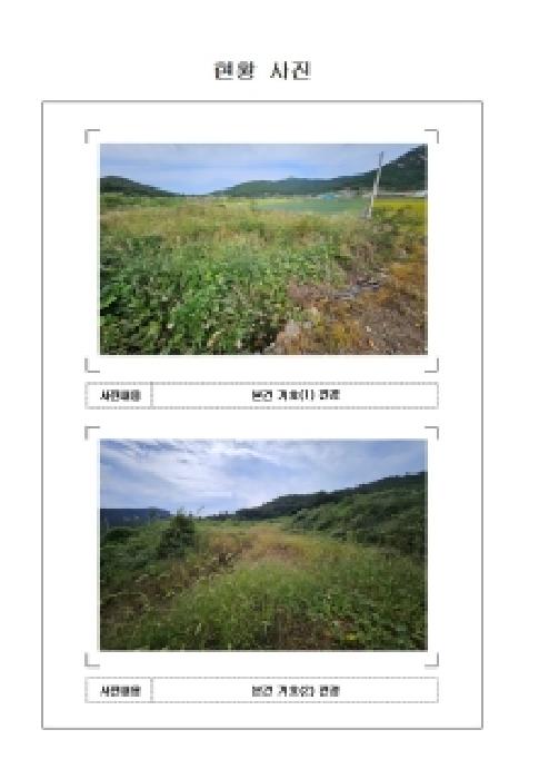 2025타경51493 사진