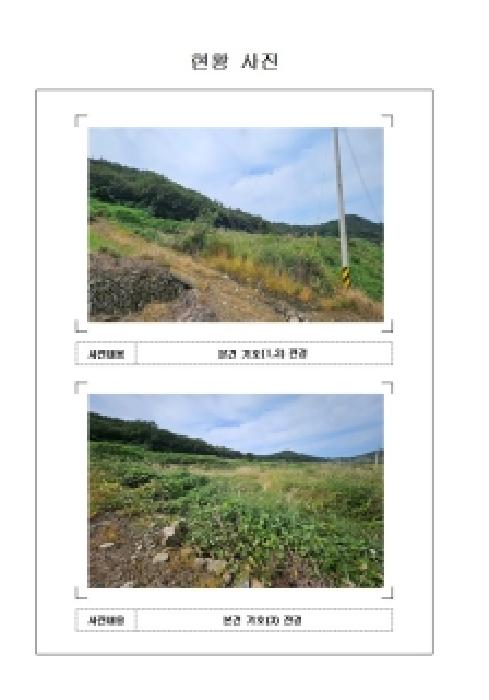 2025타경51493 사진