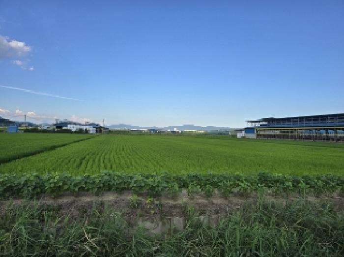 2025타경51510 사진