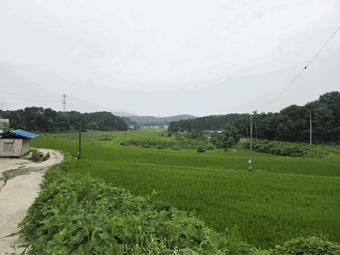 2025타경51532 사진