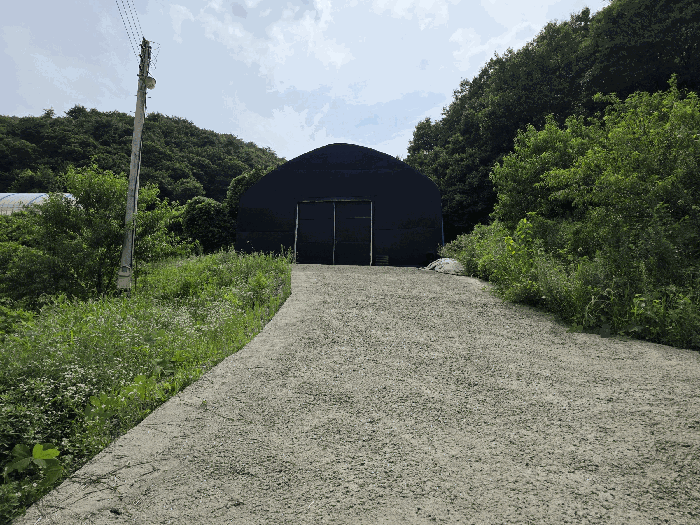 2025타경51536 사진