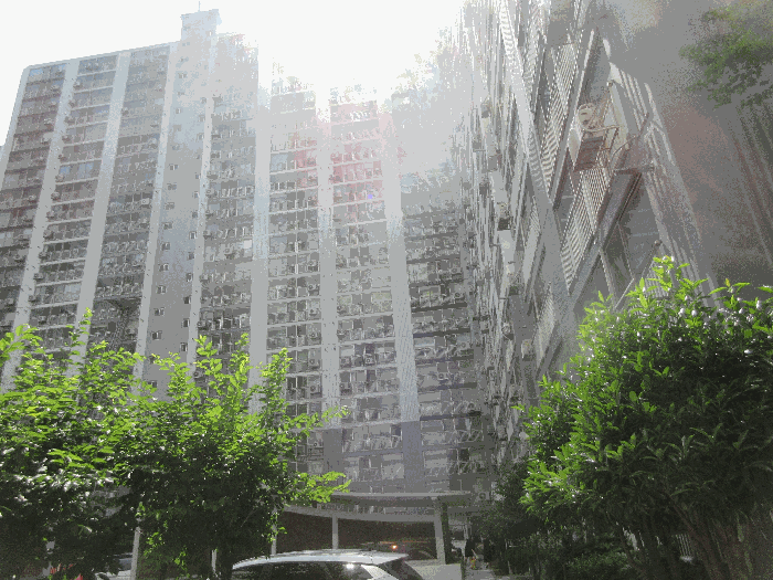 2025타경51556 사진