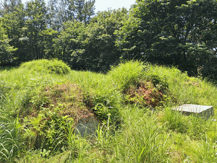 2025타경51632 사진