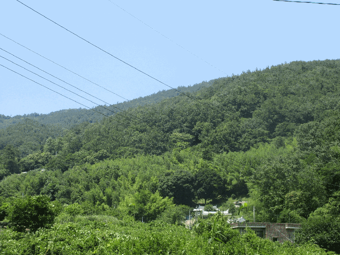 2025타경51649 사진
