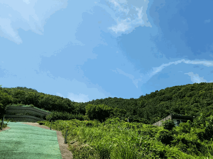 2025타경51681 사진