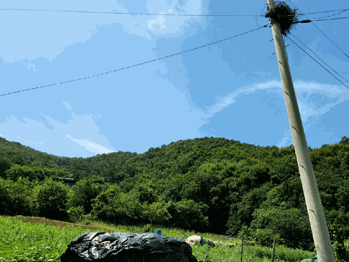 2025타경51681 사진