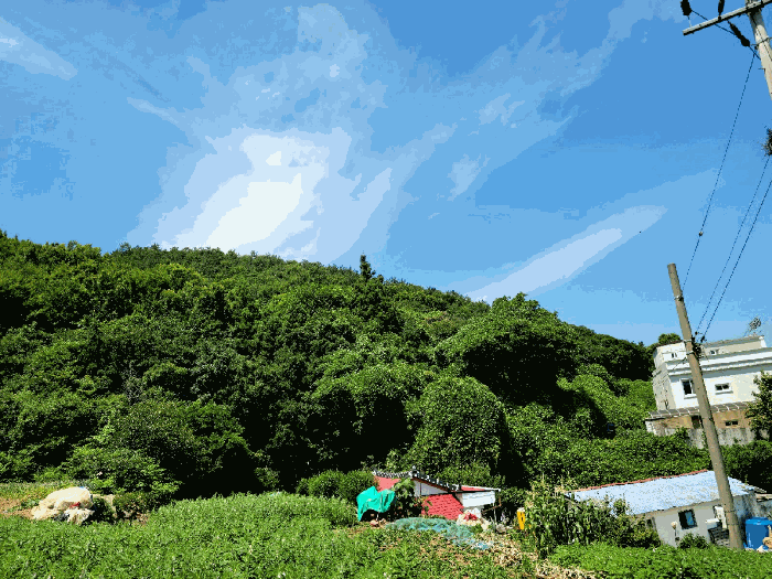 2025타경51681 사진