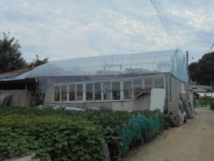 2025타경51700 사진