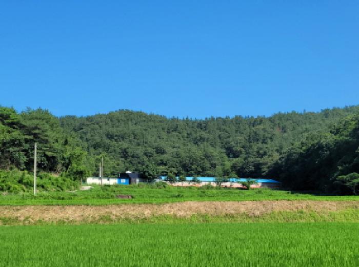 2025타경51767 사진