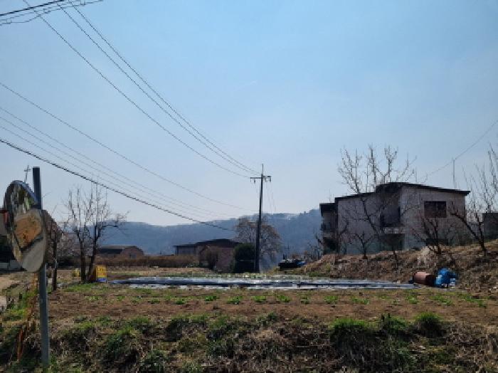 2025타경51863 사진