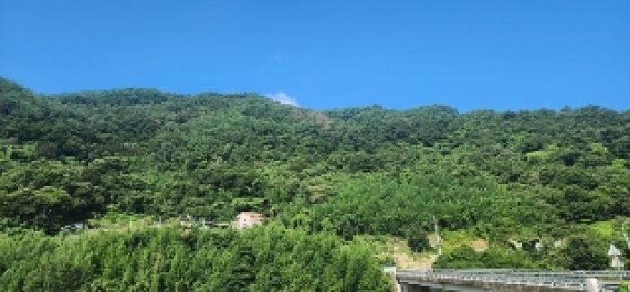 2025타경51914 사진