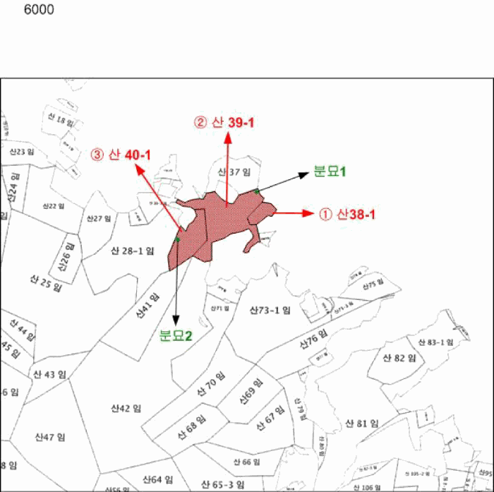 2025타경51932 사진