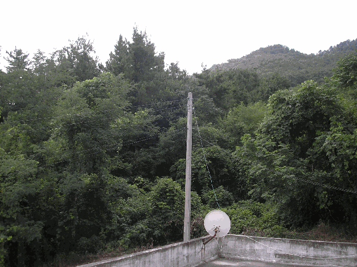 2025타경51932 사진