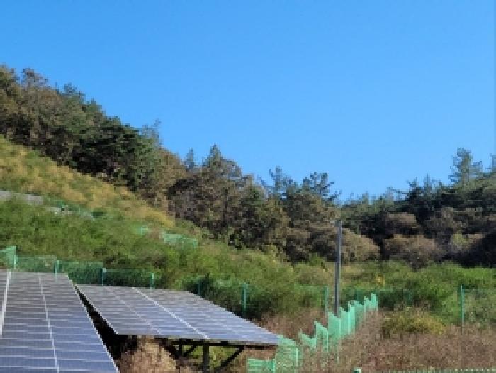 2025타경52123 사진