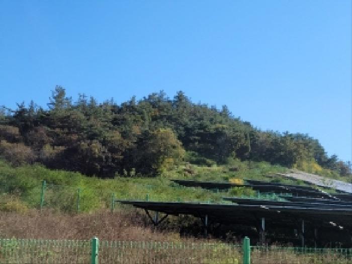 2025타경52123 사진