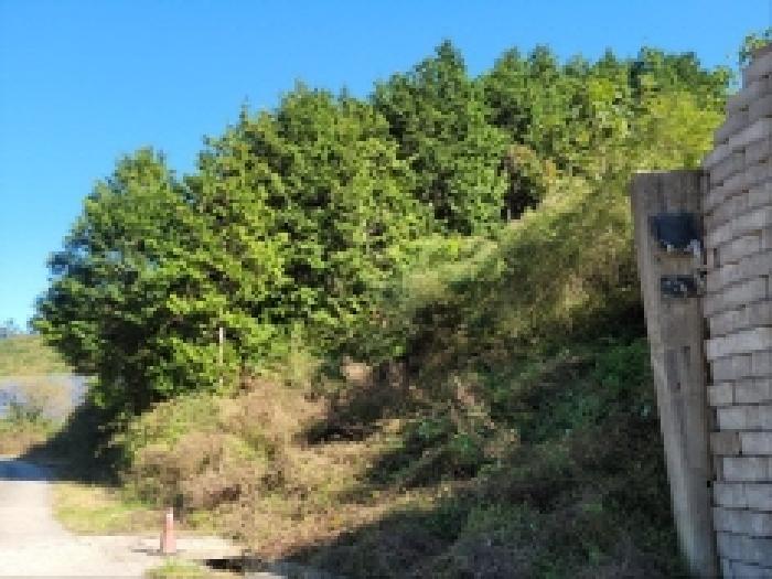 2025타경52123 사진