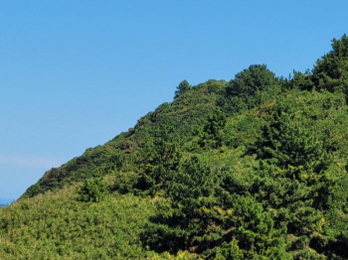 2025타경52165 사진