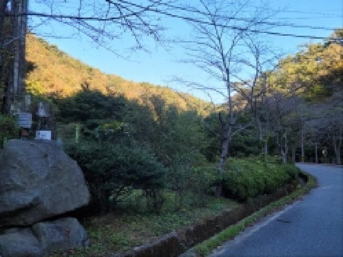 2025타경52168 사진