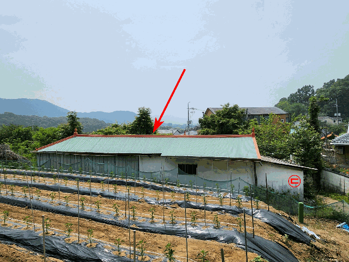 2025타경52211 사진