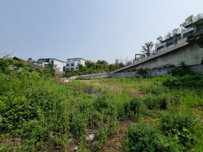 2025타경52244 사진