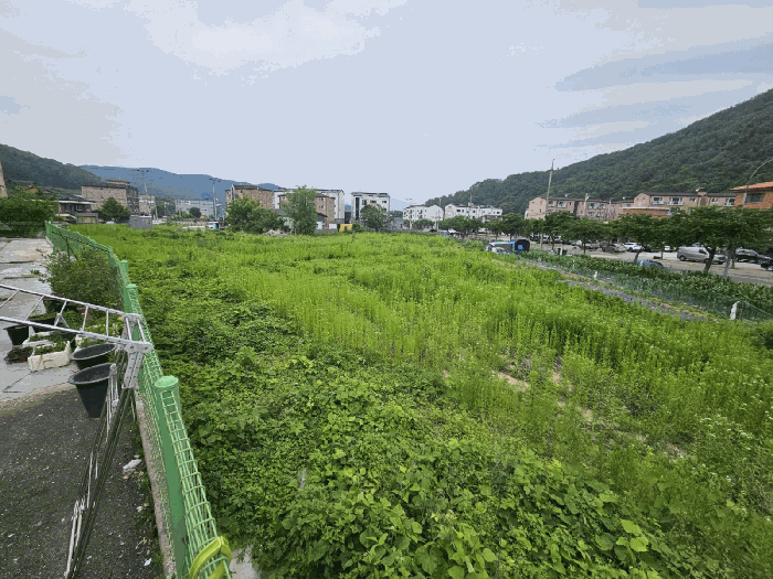 2025타경52267 사진