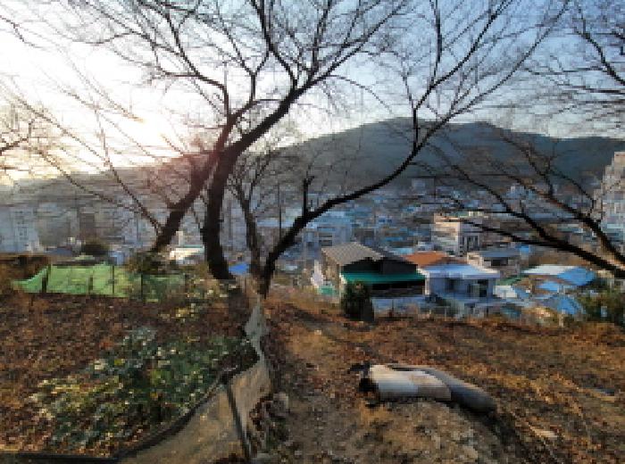 2025타경52390 사진