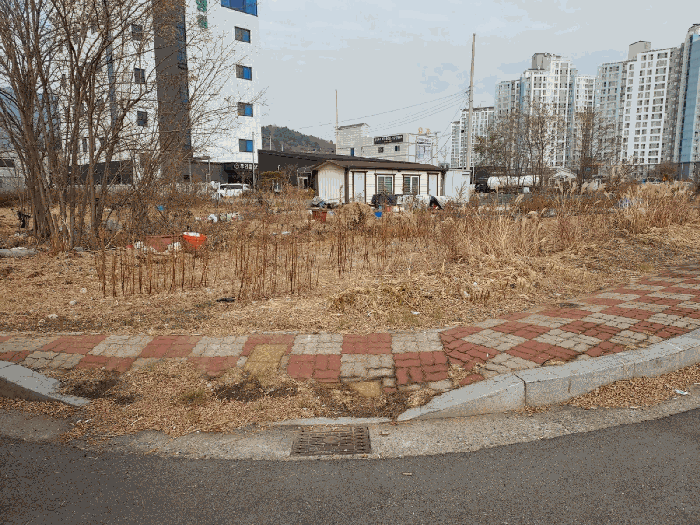 2025타경52402 사진