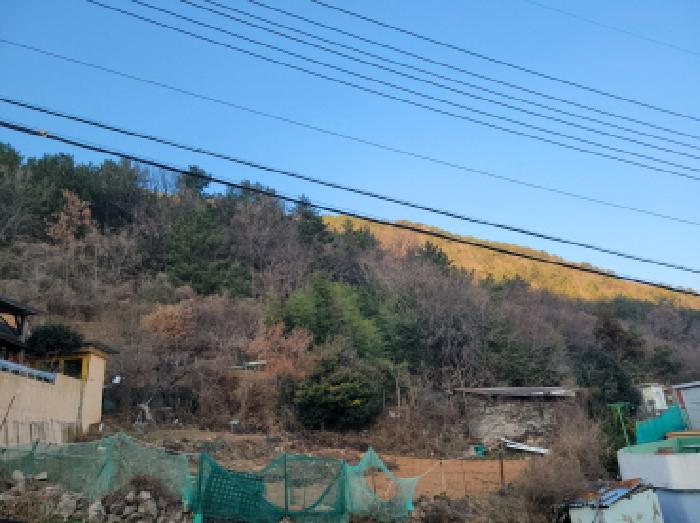 2025타경52413 사진
