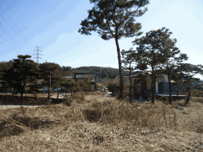 2025타경52457 사진