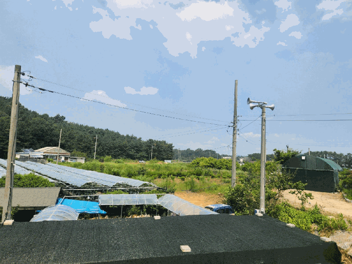 2025타경52990 사진