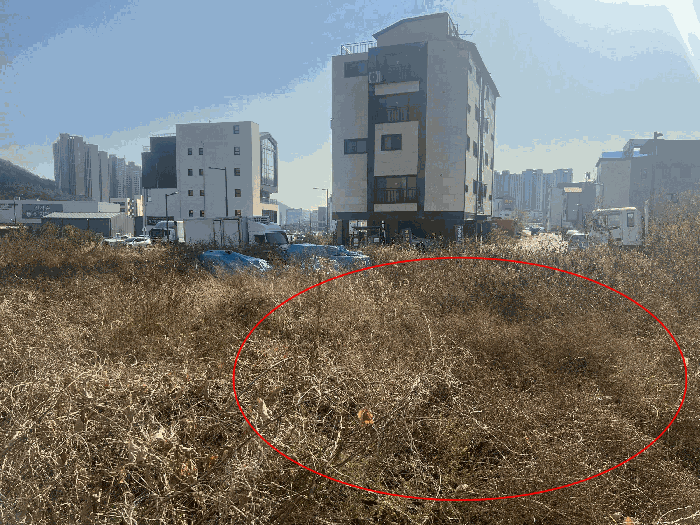 2025타경53370 사진