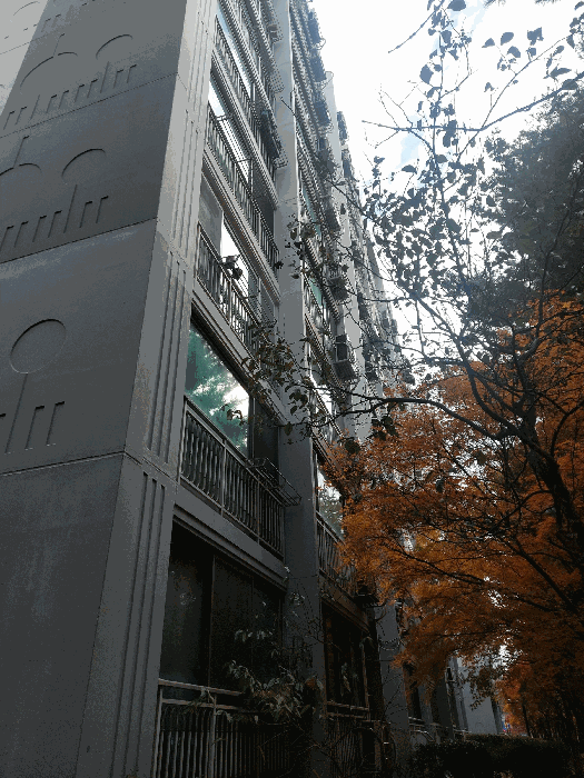 2025타경53705 사진