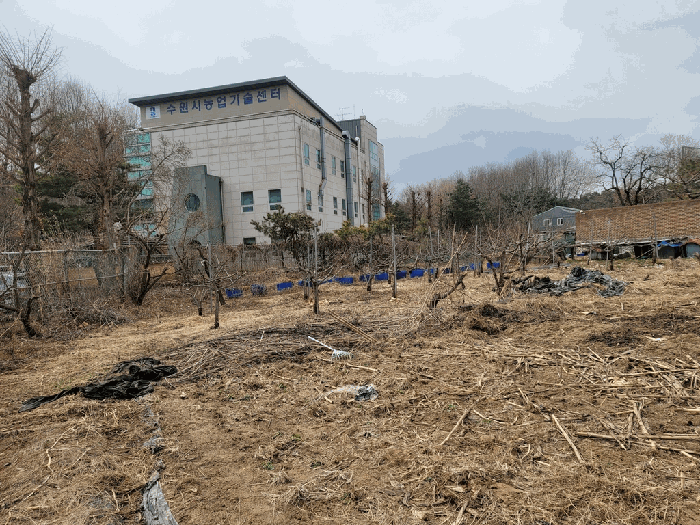 2025타경54626 사진