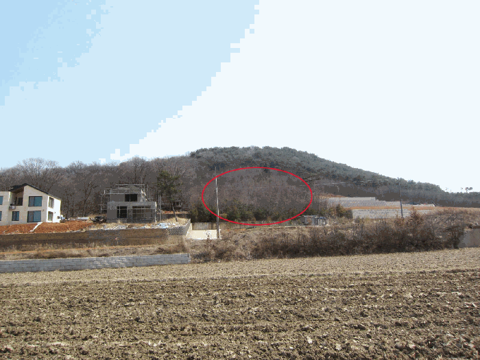 2025타경55101 사진