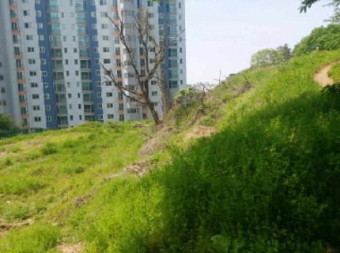 2025타경55206 사진