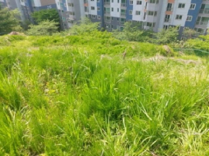 2025타경55206 사진