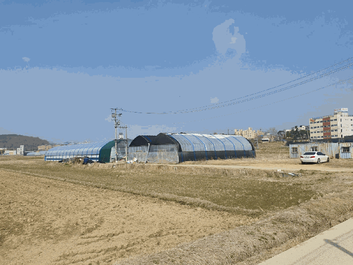 2025타경55249 사진