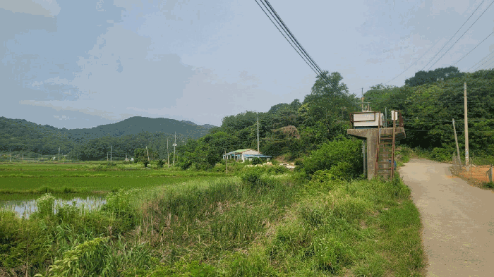 2025타경55763 사진