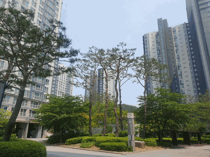 2025타경56005 사진
