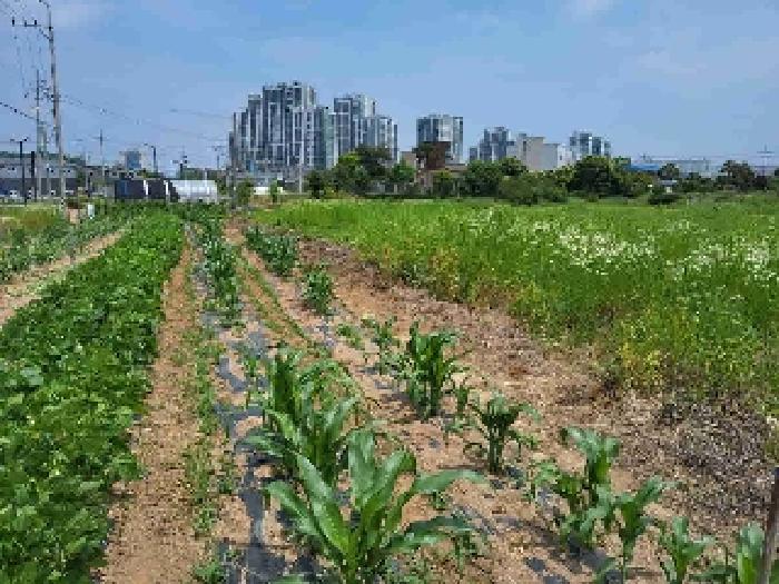2025타경56044 사진