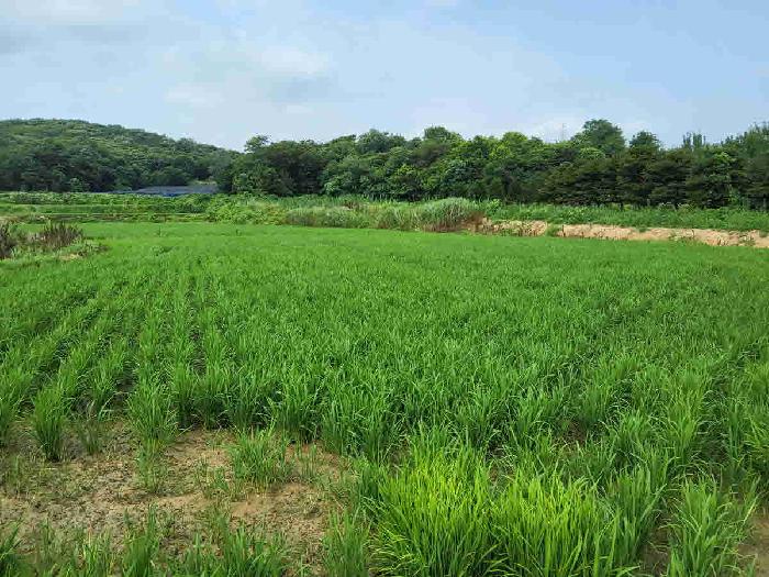 2025타경56167 부동산강제경매 대표 사진