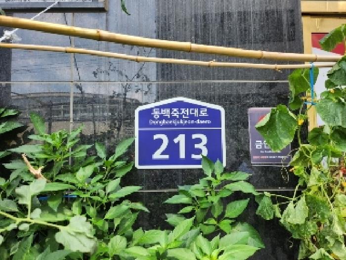 2025타경56934 사진