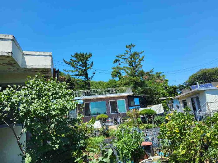 2025타경56994 사진