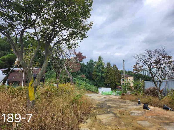 2025타경58008 사진