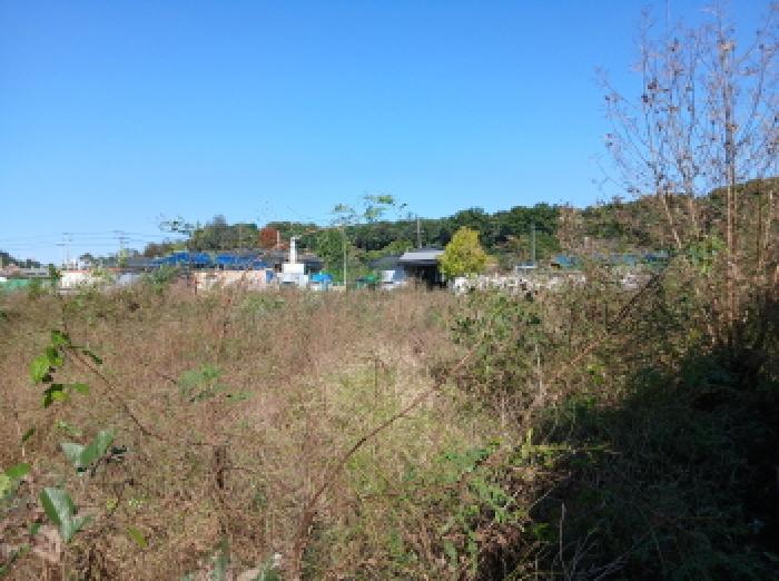 2025타경58214 사진