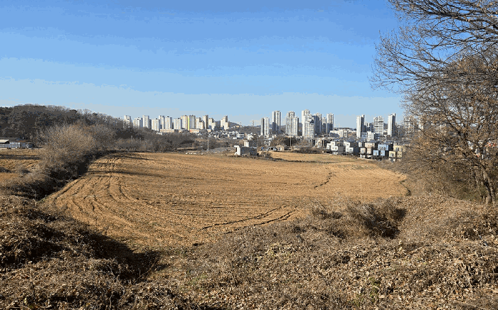 2025타경59056 사진