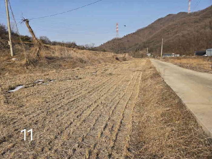 2025타경59515 사진