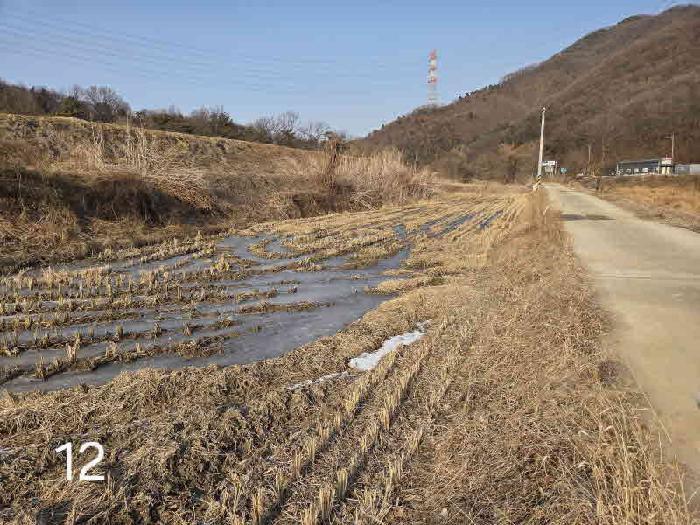 2025타경59515 사진
